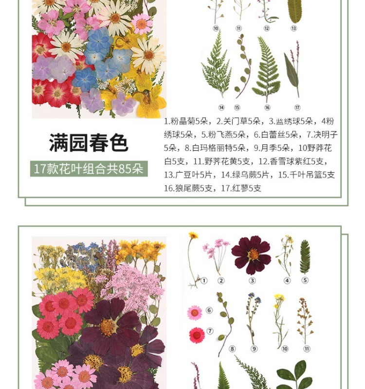 b49a9ec2-2240-400e-8088-ede220a07afb.jpe