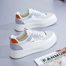 ͸ܛŮЬ2024¿rаٴƽװЬŮʿ\eЬn泱