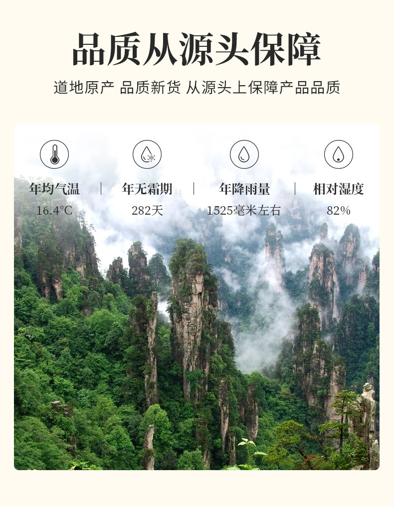 Enshi Mei Tea Bud Tips (Ampelopsis grossedentata) — Wild High-Mountain Vine Tea, 500g specifications