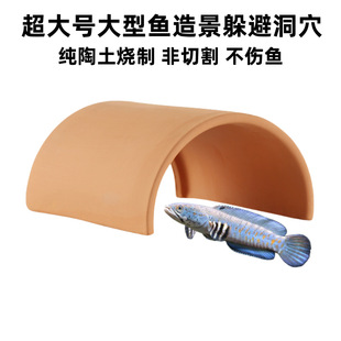 �����~�����Ƭ��Ѩ������~���쾰�b����~�a�ѷ�ֳ�����