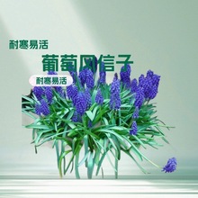 LӷN҃ˮBˮײͶͺ׻L