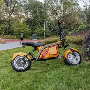 EEC electric motorcycle adult electric car harem motorcycle citycoco off-road vehicle