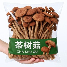 不开伞茶树菇福建古田精选不开伞茶树菇无熏硫干货新货袋装散装