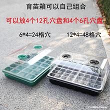 ��ͥ�@ˇ�������̖���w�׿�Ѩ�P����Ǥ��ֲ�ﲥ�N���琞�B��