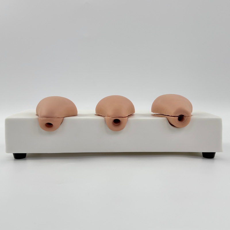 �߼��˹�����ģ���ӹ�ģ�� 3��ģ���ӹ����� ������ѵ���̾�FT33A