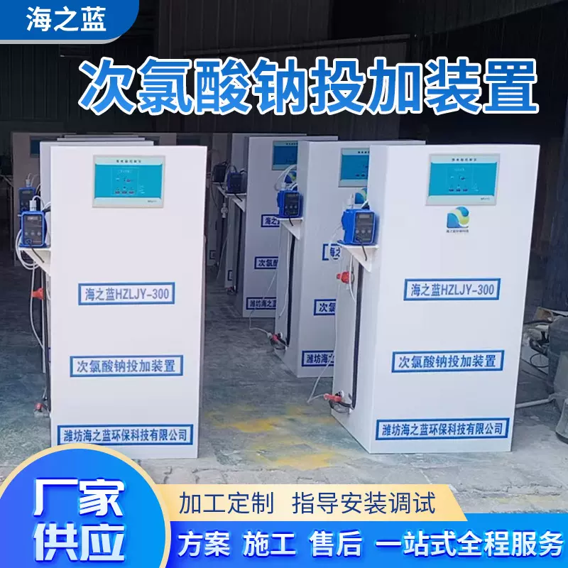 次氯酸钠投加装置 水处理消毒次氯酸钠发生器投加杀菌加药装置