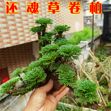 �^�p����߀��ݾ��� Ҋˮ߀ꖏͻ�� �̨ͥԺ�辰���ԾGɫֲ��