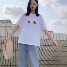 2026����С�R���޶���T��Ů�������e�r�������nϵ�ٴ��������