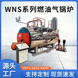 燃煤锅炉;蒸汽发生器;燃气锅炉