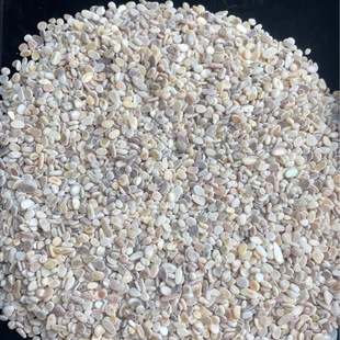 Manufacturer Supplies Shell Loose Particle Flooring 2-6mm Pearl Shell Chamfered Without Polishing