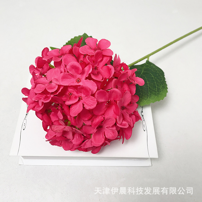 싱글 72피스 수국-로즈 레드