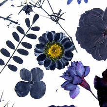 ɫɻdiyϿ羳ɻlϰֲ˱ɘ~Nb