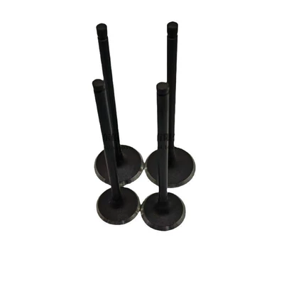 22212-2g000 Exhaust Valve, Valves and components
