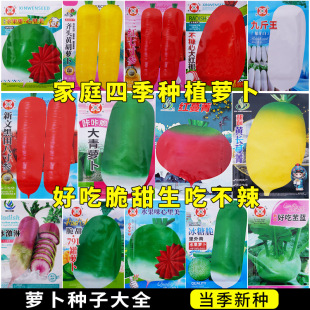 ˮ���}���N�Ӵ�ȫ�ļ��͟�߮a�����}���tƤ���}�����ﶬ�߲˷N��