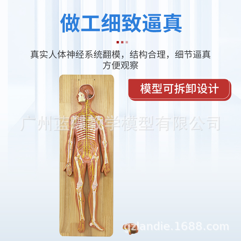 ������ϵͳ����ģ�� ����������ϵͳģ�� �� ���� ��Χ����