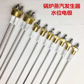 蒸汽锅炉不锈钢耐温水位计电探针测水位控制液位传感器感应探头