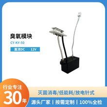 源头厂家直流12VDC放电针式臭氧模块发生器果蔬杀菌污冰箱消毒柜