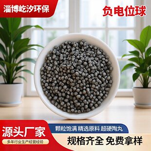 ����ˮ����  ˮ̎��V��orp���ˮ��4~5mm���|��ؓ�λ��V��