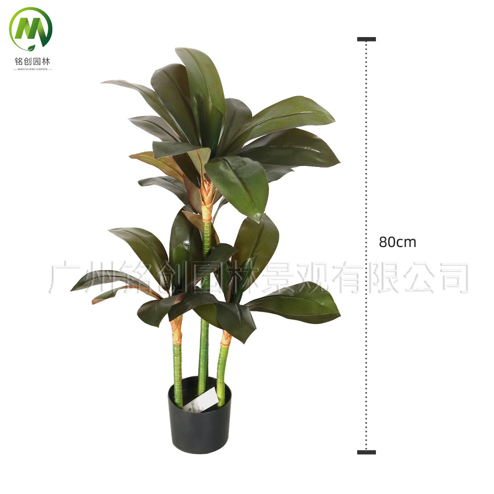 Planta verde de simulación de piso a gran escala, árbol de hierro rojo, madera brasileña, decoración interior, planta de simulación, hierro brasileño de borde amarillo