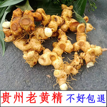 �F���u�^��Ұ���S�����r�ϻ��������ݾƾ����ŕ��S��������ș��