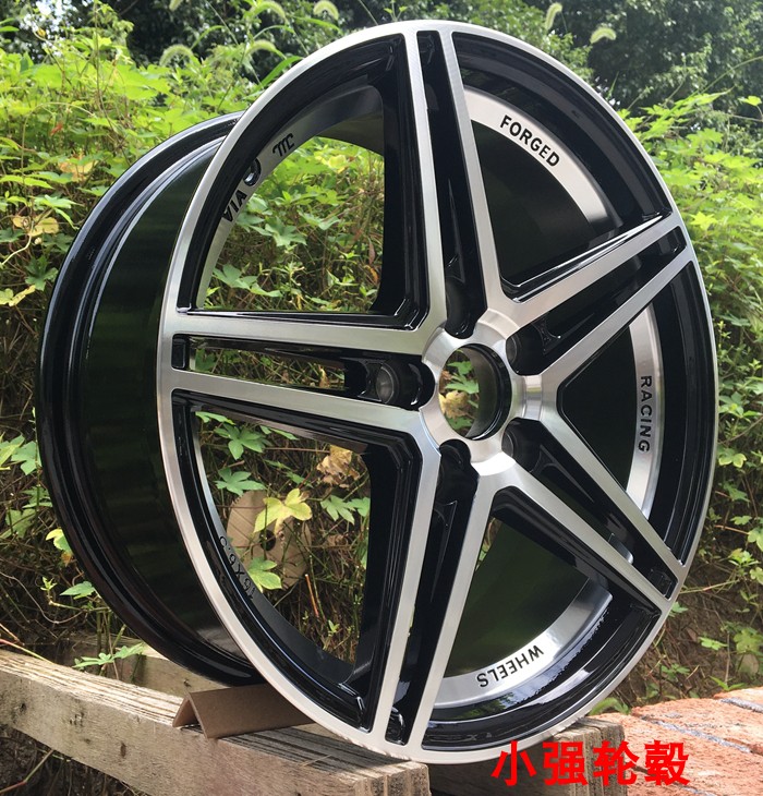Suitable for Byd Su Rui Qin Dolphin Modified Seagull Hub Wheels
