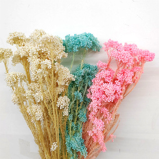 ����С�׻��ɻ�Ưɫ�ֹ�diy���ļҾӻ�Y���û�������b���