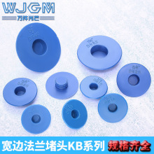 塑料宽边法兰盖堵盖闷盖法兰保护盖法兰内塞式保护盖堵头阀门封盖