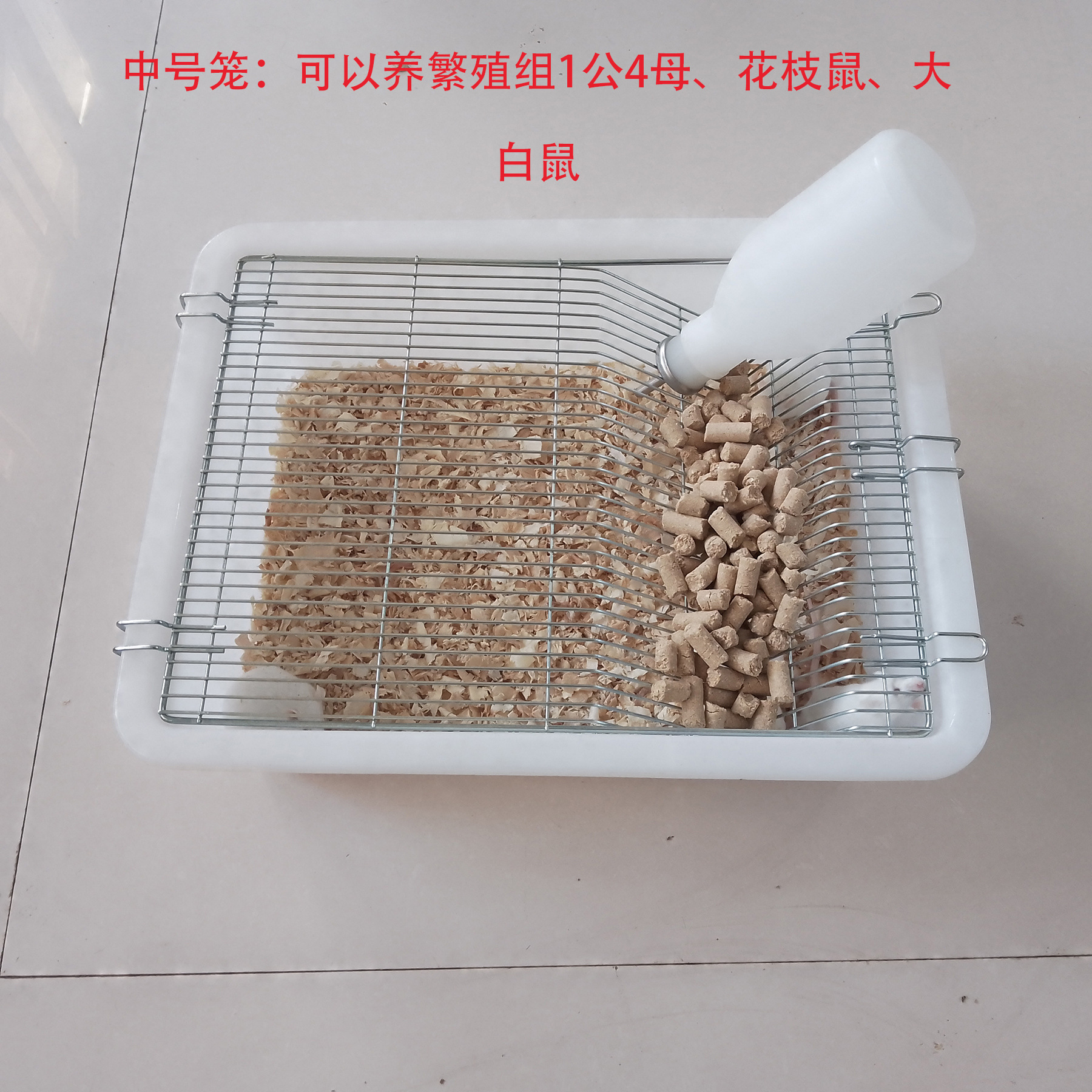 实验小鼠饲养笼小白鼠花枝鼠大鼠笼子盒子繁殖笼盒繁育笼开票其科-阿里巴巴