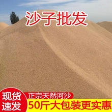 儿童玩具沙细河沙花用天然种植养花沙子多肉透气河沙鱼缸底砂批发