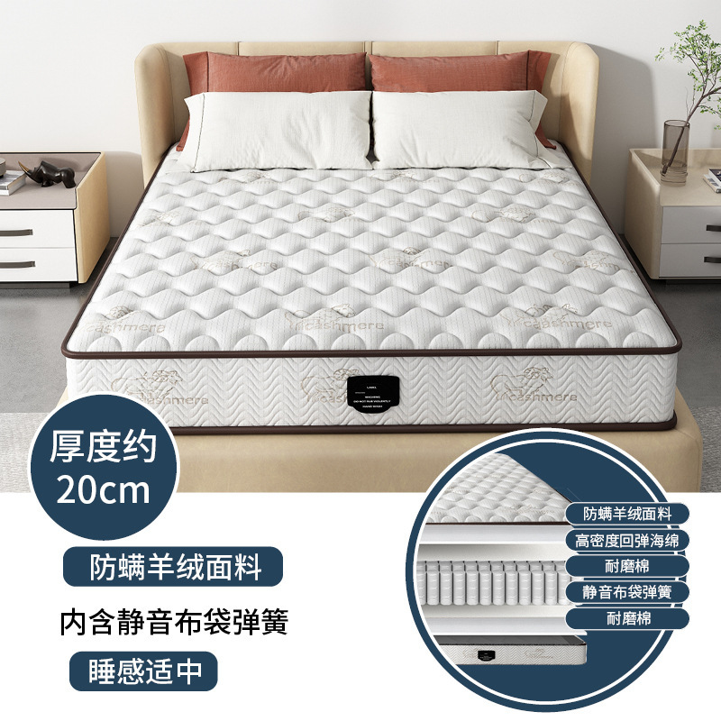 席梦思床垫家用卧室独立软垫弹簧床垫20cm厚1.5米租房专用硬椰棕|undefined