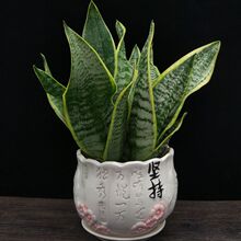 βmֲ҃ļkҿ͏d՚⻨ԾGֲƤm