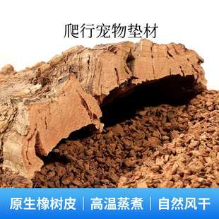 ��ľƤ����ɭ�ֵر�ˮ�ɘ�Ƥ���x��������،m�쾰��������|��
