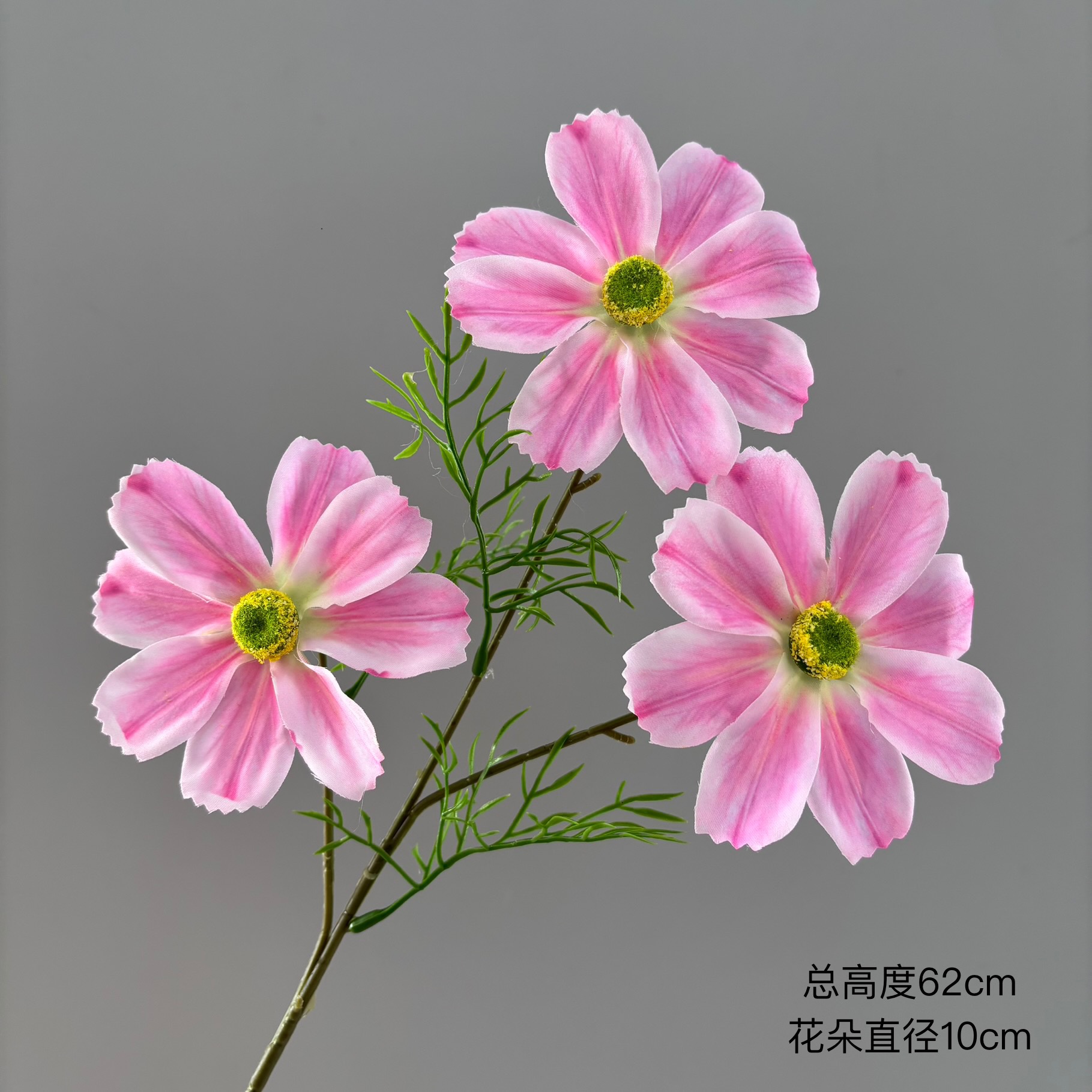 분홍색