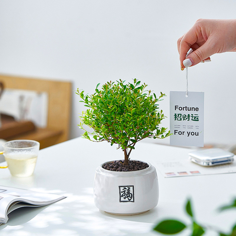 39dbcb89-a8c5-4195-ac7d-634b25b95520.jpe