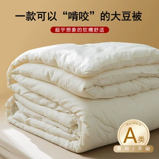 A类日式纯棉大豆纤维被白色全棉民宿酒店被子秋冬加厚大豆被芯