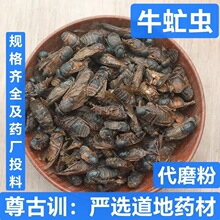 ţå�x ��ș��  ţ��x ţ���x ţæ�x ţâ�x ţ���x ֧��ș�z