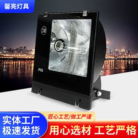 工矿灯;投光灯;其他专用灯具