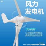垂直小型车互补风能小型车载车系垂直轴家用电机发电风光永磁发电