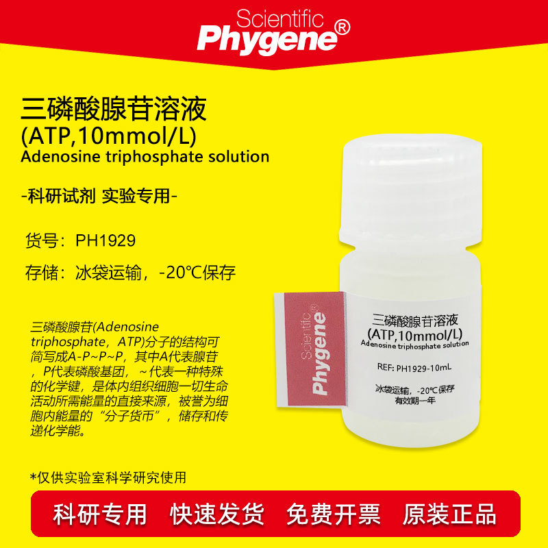 三磷酸腺苷溶液 (ATP,10mmol/L) 10mL 实验试剂 科研专用 PHYGENE