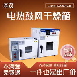 电热鼓风干燥箱工业工厂高温烘干箱实验室药材恒温箱厂家现货直发