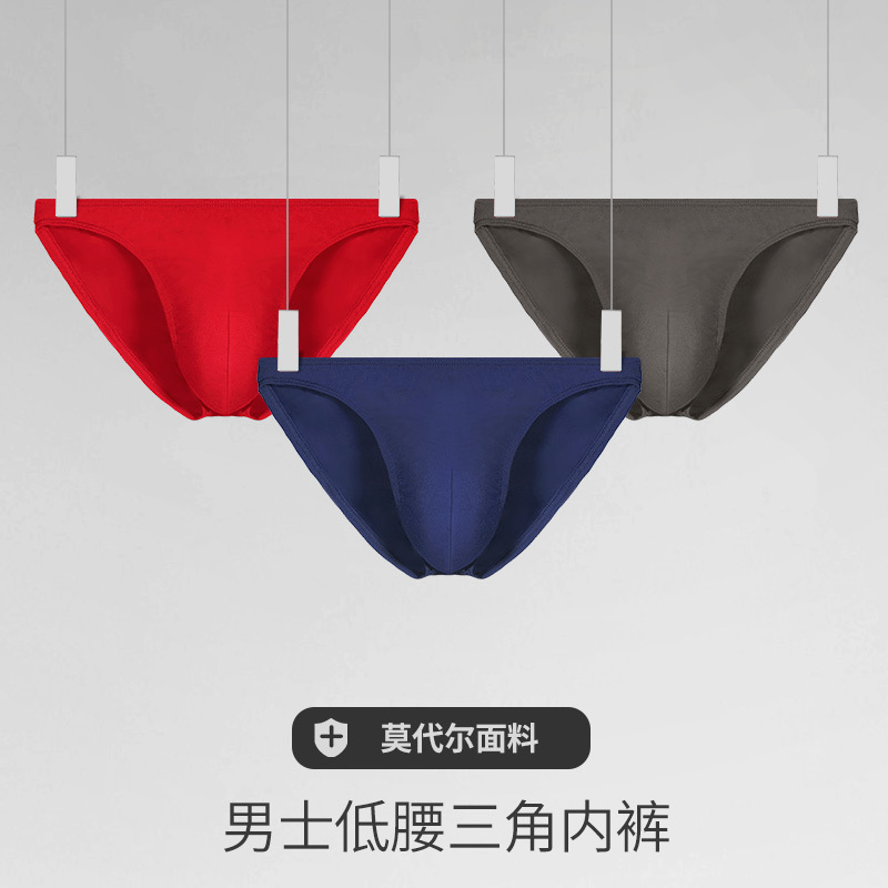 Briefs