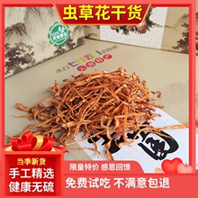 新货虫草花干货250克 正品精选孢子头北金虫草菇煲汤材料 蛹虫草