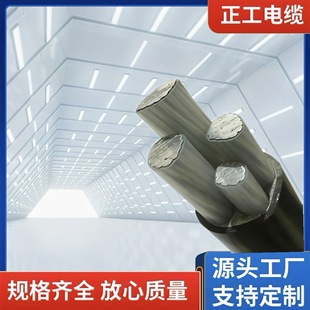 �͟��o�u��ȼ�Xо�͉���|�S�����l YJLV 3+1о �ؑc�F؛����