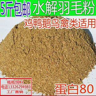 ˮ����ë�� ��ë�����  �u���Z�g���r�B������ӵ������