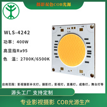 WLS-5454 600WpɫzӰCOBԴ@ָ≥95LED