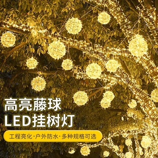 ����LED�b����A����l�������⾰�^����A��������չ��@
