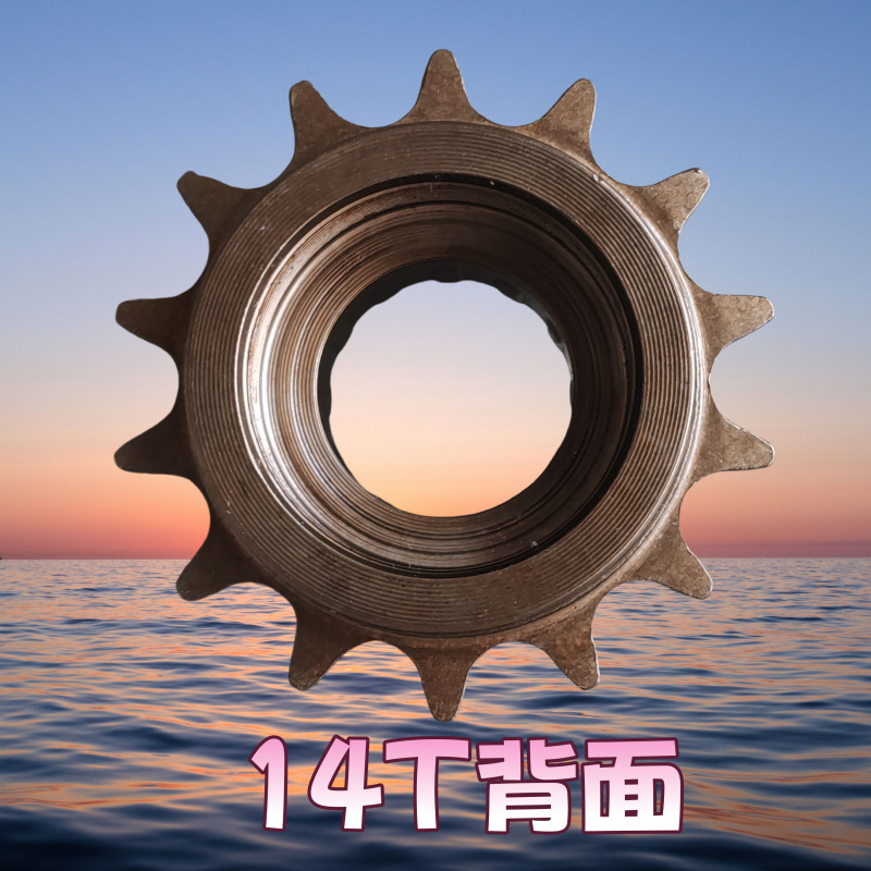 20齿
