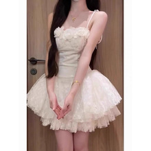 Z ٽzŮȹȹŮ2025ļɚȹ