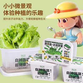 磁力片/球;其他益智玩具;篮球架