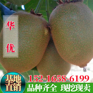 �޽��S���A���J���Ҙ����S��J����������Ϸ������Nֲ���Թ�����